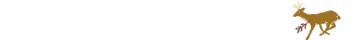 anikdeer.gif (37332 bytes)